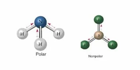 Top 9 senyawa senyawa cl2 br2 h2 dan co2 adalah senyawa non 