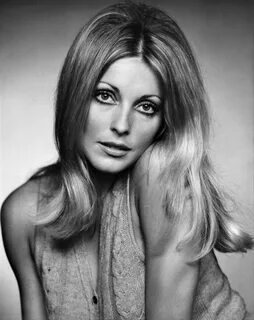 Sharon Tate Sharon tate, Tate, Iconic women