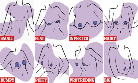 Nipple Types.