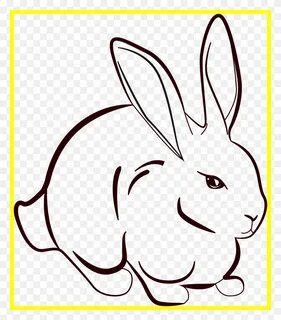 Удивительный Кролик Lineart Изображение Для Рисования Линий 