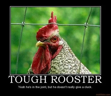 Rooster Memes