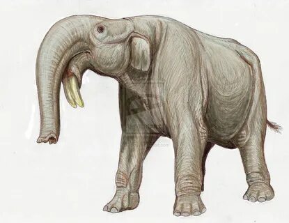 Deinotherium from Rostov by DiBgd on DeviantArt Prehistoric 