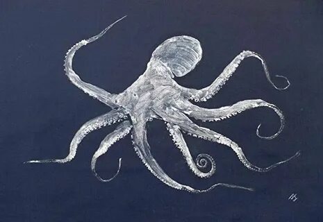ORIGINAL Octopus GYOTAKU Art Nature Rubbing on rich Navy Clo