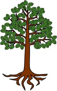 Cartoon Tree Picture 27, - Tree With Roots Clipart - (2000x2