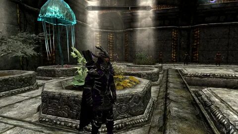 qahnaarin of akatosh at skyrim nexus mods and community