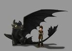 Toothless and Hiccup by Fenchan on deviantART How to train y