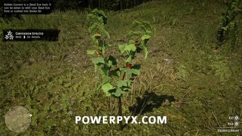 Red Dead Redemption 2 Plants Locations