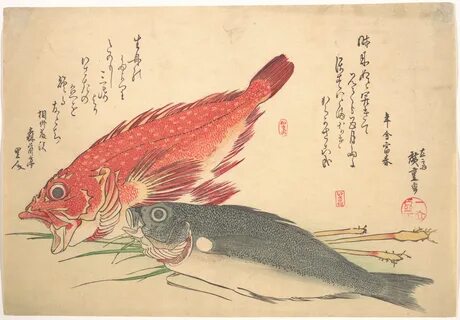 Japanese fish print catch of the day
