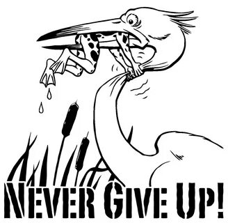 Don't Give up Frog Heron Car Bumper Vehicle Sticker Etsy