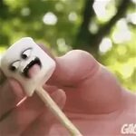 marshmallow Memes & GIFs - Imgflip