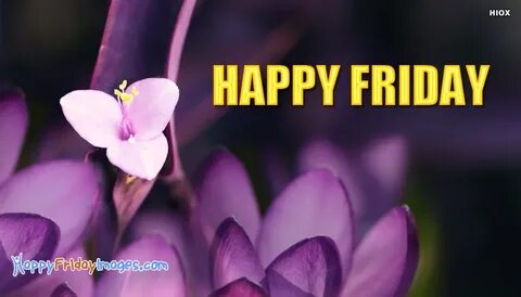 Happy Friday Flowers @ HappyFridayImages.Com