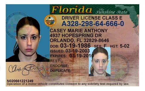 9 Florida Drivers License Template - Free Graphic Design Tem