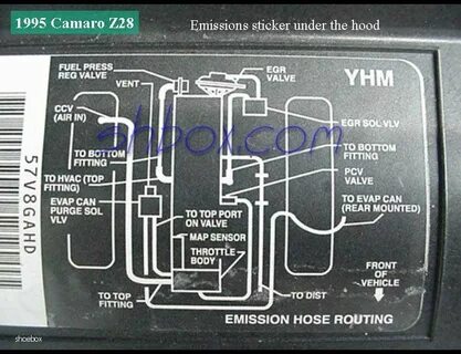 Need vacuum diagram 1993 LT1 - LS1TECH - Camaro and Firebird