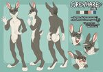 Greyhare Reference by AeroSocks -- Fur Affinity dot net