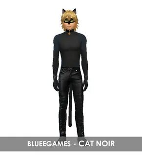 BlueeGames: Miraculous Adrien Cat Noir SIM
