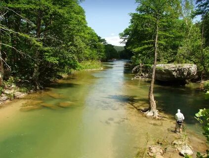 Home " Guadalupe River Trout Unlimited.
