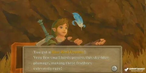The Legend of Zelda: Skyward Sword HD - Как получить птичьи 