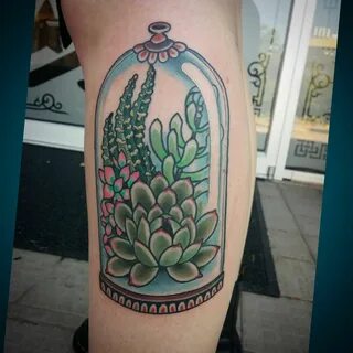 daniel gerbis on Instagram: "Succulents in a bell jar. Wraps