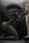 nihilophant xenomorph alien 1boy1girl alien girl big breasts