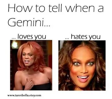 Gemini Quotes Funny : 12 Best Gemini Memes & Quotes That Per