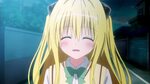 To Love-Ru Darkness Goes From Bad to Worse. - Sankaku Comple