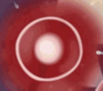 Impregnation Sperm Cells GIF - Impregnation Sperm Cells Egg 