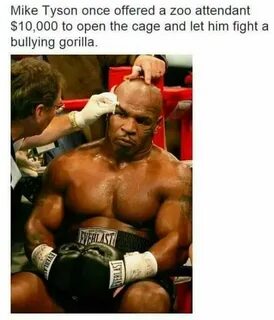 Iron Man Mike tyson, Funny, Funny pictures