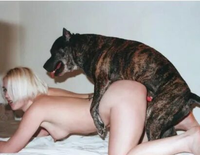New dogsex