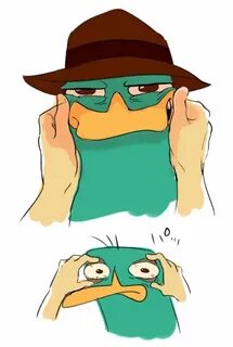 #PhineasAndFerb #Perry #Disney Phineas and ferb, Phineas and