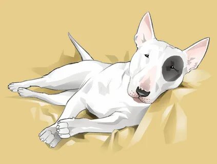 Imagen de Нина en Бультерьер Dibujo de perro, Bull terrier, 