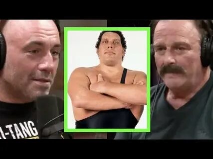 DOWNLOAD: Joe Rogan - Jake The Snake on Andre the Giant MP3 