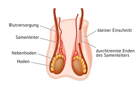 Uropraxis-Sprockhövel, Dr. Wach Haßlinghausen Gevelsberg Enn