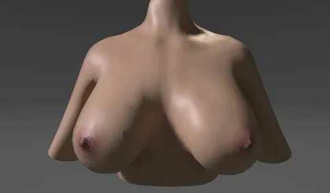 tits realistic 3D Model in Anatomy 3DExport.