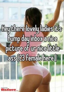 Hey there lovely ladies it's hump day inbox a nice picture o