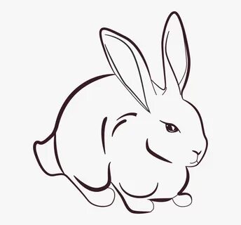 Rabbit Line Art, HD Png Download , Transparent Png Image - P