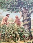 4 things that the Bible did not record about Adam and Eve,th