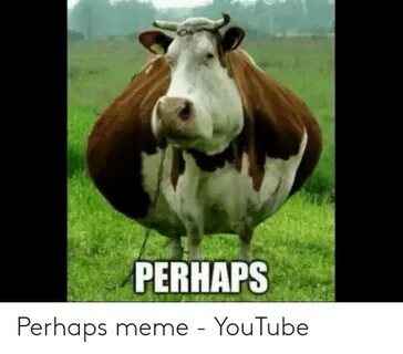 PERHAPS Perhaps Meme - YouTube Meme on astrologymemes.com