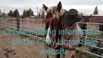 Cody horse sale 2018 Copper hip #39 - YouTube