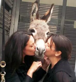 https://www.askideas.com/media/08/Girls-Kissing-Donkey-Very-