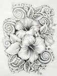 45 Beautiful Flower Drawings and Realistic Color Pencil Draw