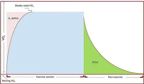 EPOC (I): Importancia de la intensidad del ejercicio en el c