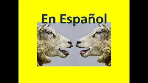 SLOW Spanish Alphabet sentences! // how to speak Spanish - YouTube.