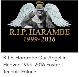 RIP HARAMBE 1999-2016 RIP Harambe Our Angel in Heaven 1999-2