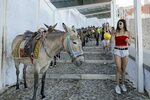 Donkeys crippled from carrying podgy holidaymakers up cobble