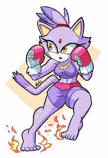 Fighting Blaze the Cat by Netto-Painter on DeviantArt Sonic 
