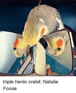 Triple Henlo Crebit Natalie Foose Triple Meme on awwmemes.co