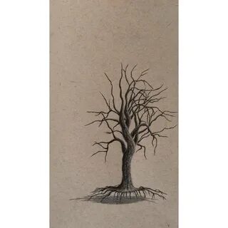 Drawn dead tree realistic - Pencil and in color drawn dead t