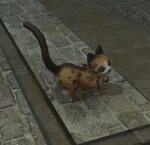 File:Coeurl-kitten.jpg - Final Fantasy XIV A Realm Reborn Wi
