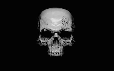 white skull illustration, white human skull #black #white bl