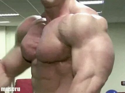 Muscles Pecs GIF - Muscles Pecs Biceps - Discover & Share GI